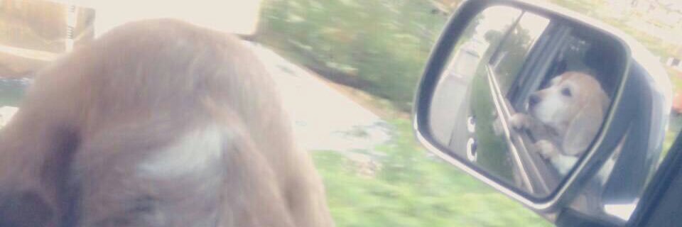 tsk_kyuj's profile banner image