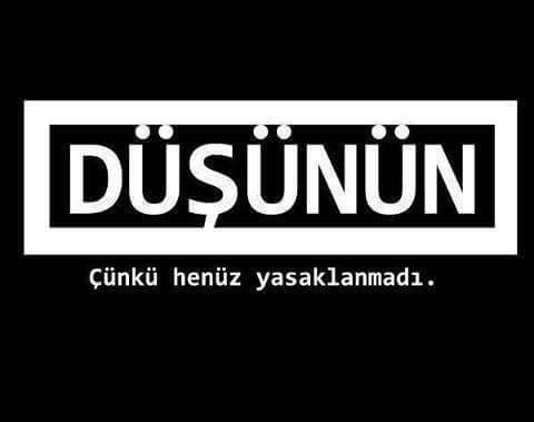 Selman Çatal© banner