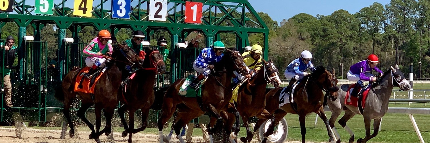 Tim Wingfield @timwingfield@vivaldi.net banner