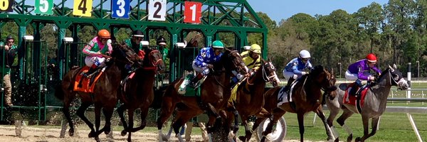 timwingfield Profile Banner