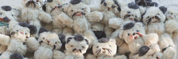 Couturierpocket Profile Banner