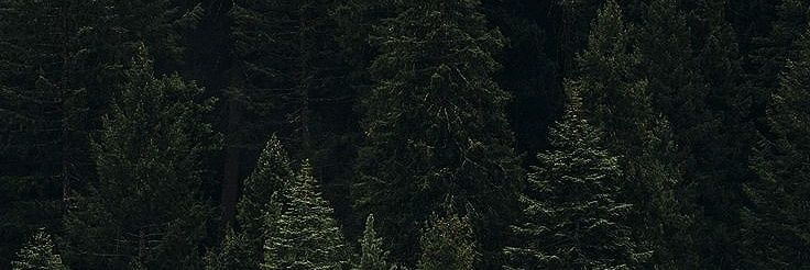 haelisun's profile banner image