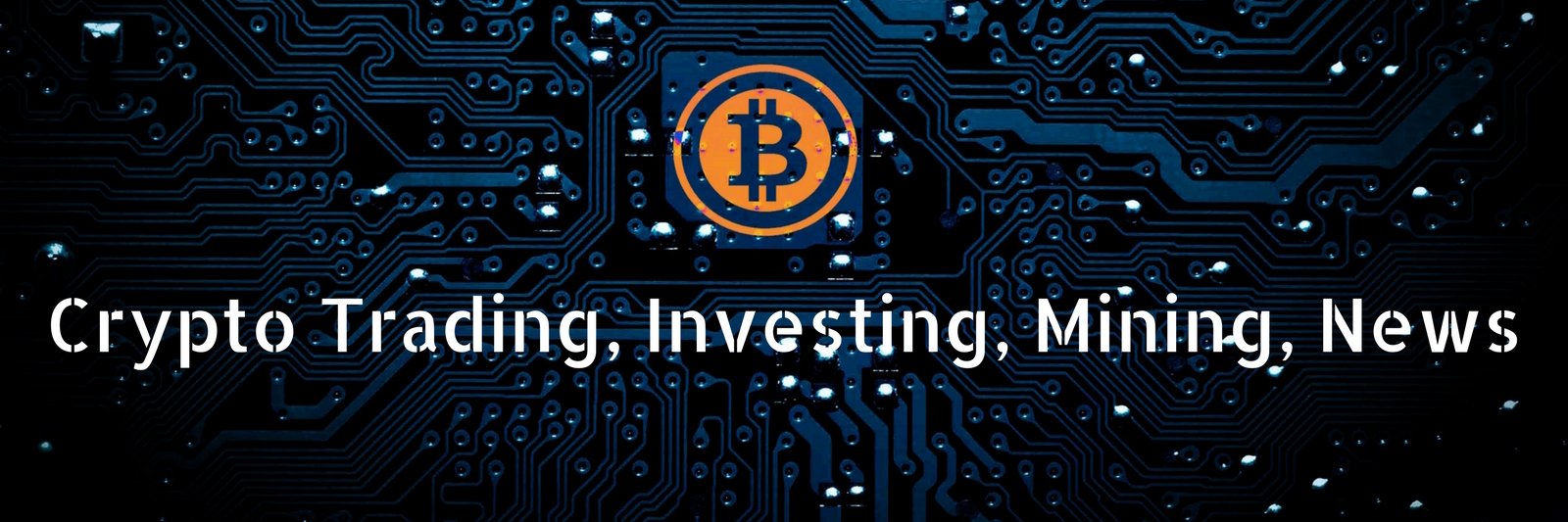bitinvestt's profile banner image