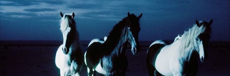 dimi 𓆩⟡𓆪 banner