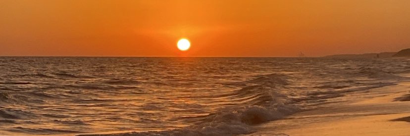 Carmen banner