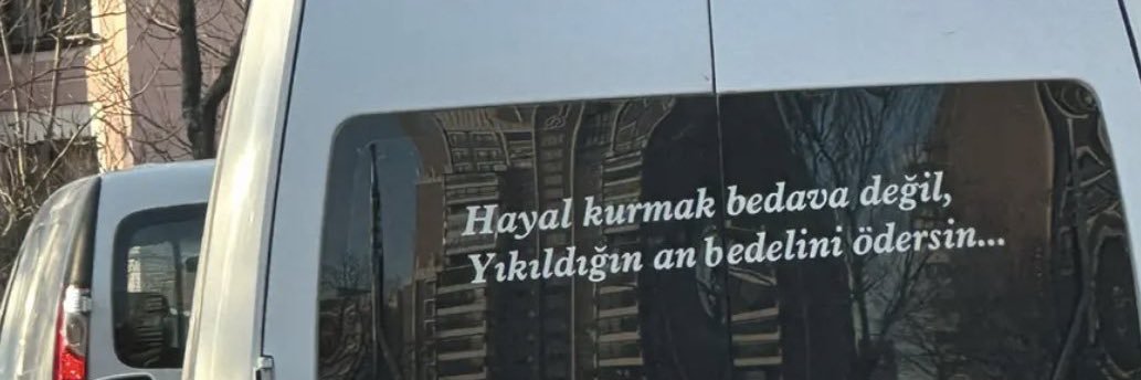 Tgrldrdbs1's profile banner image