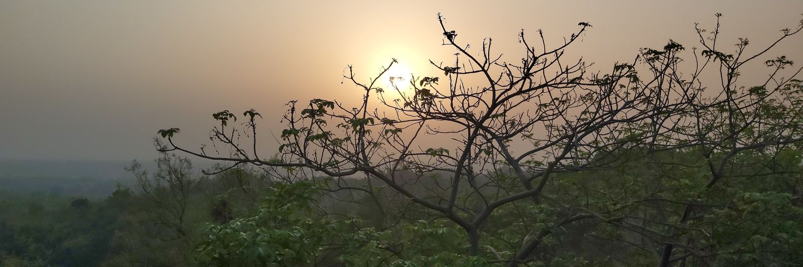 GoldyBalwinder's profile banner image