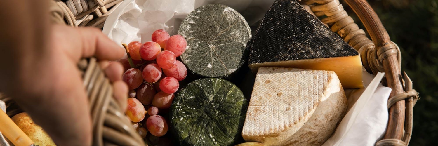 Lynher Dairies banner