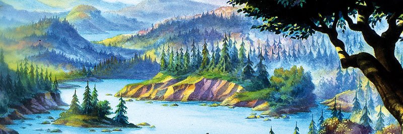 NGN624's profile banner image