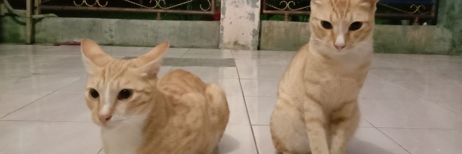 robbiathul's profile banner image
