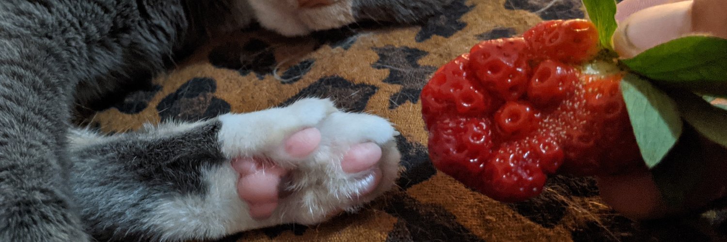 Stephen Doheney banner