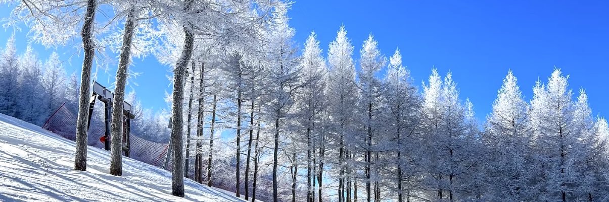 cuetttpo's profile banner image