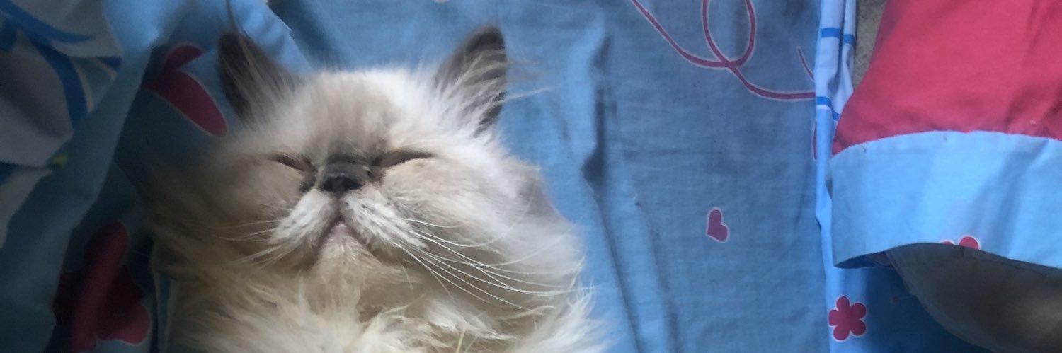 nacknackky's profile banner image