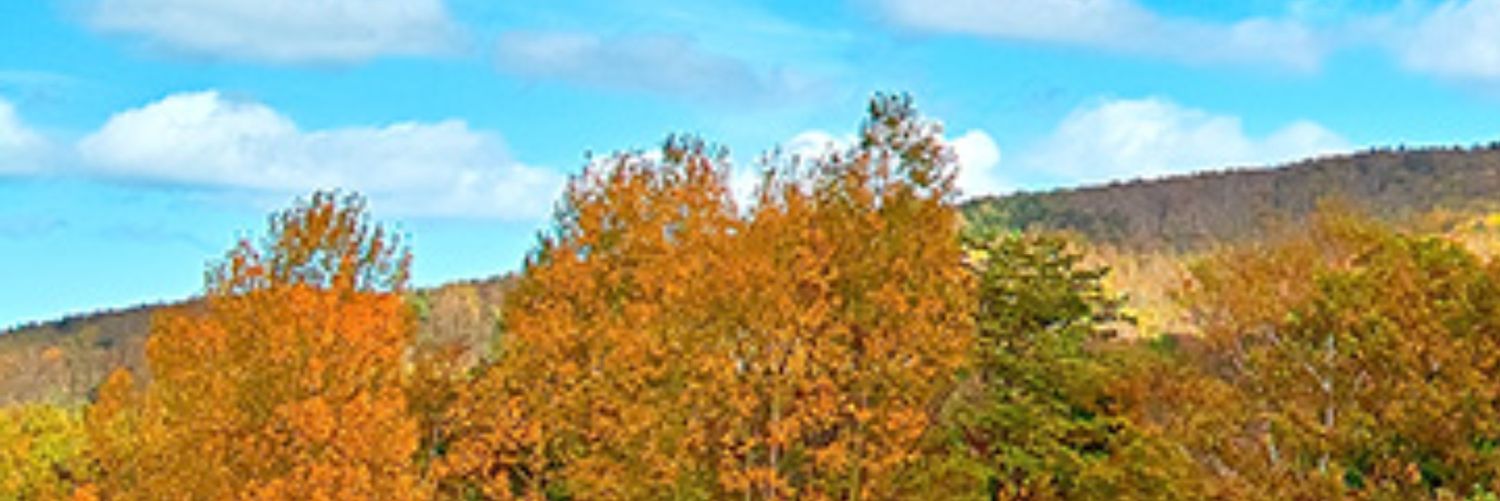 knsm76352's profile banner image