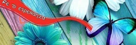 Magda Lopez banner