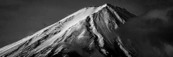 CryptoXavierLee Profile Banner