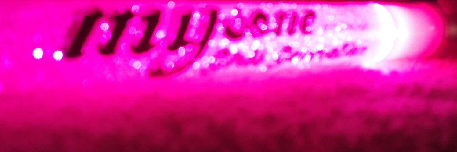 mysoneforum's profile banner image