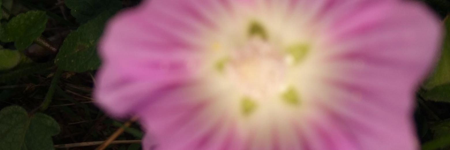 Emirhan Cemal KILIÇAL banner
