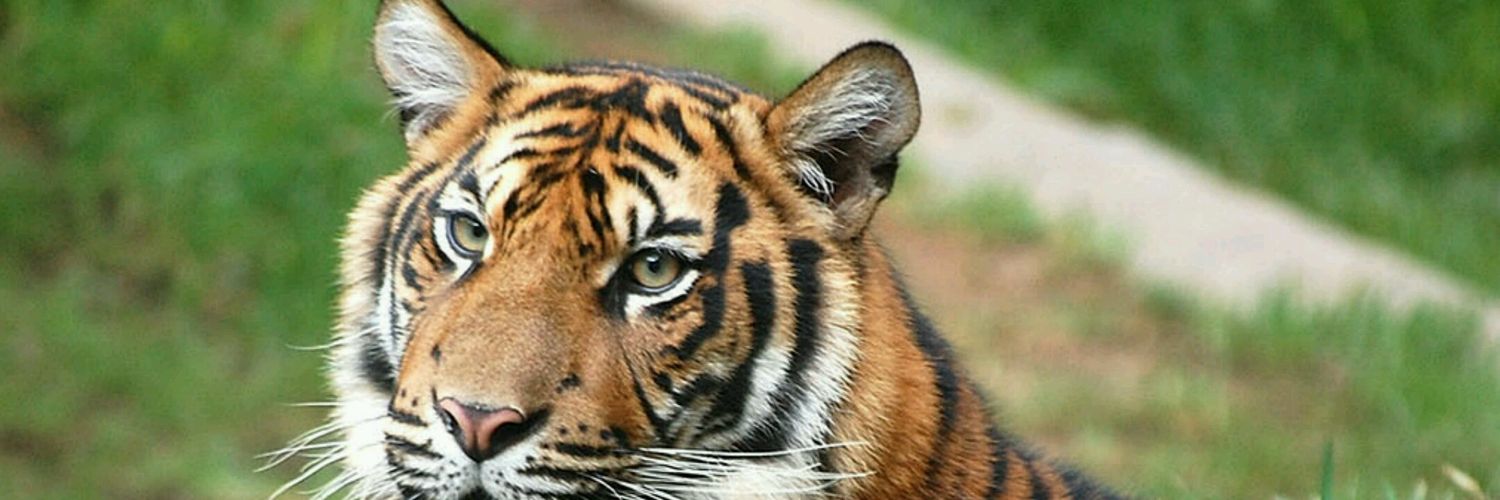 bkbapat's profile banner image
