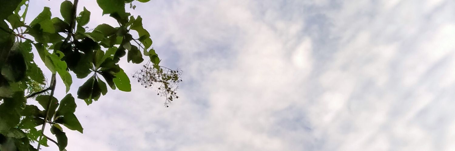 altjoa's profile banner image