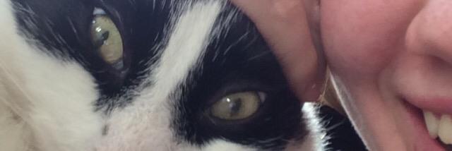 juuliaaengstrom's profile banner image