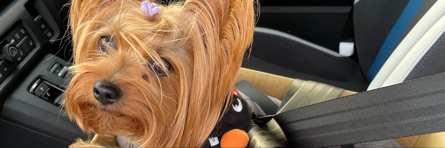 telsjp's profile banner image