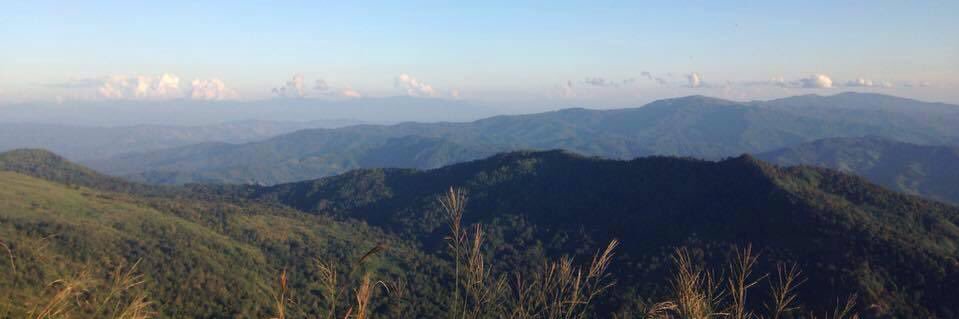 Noona_Wichada3638 banner