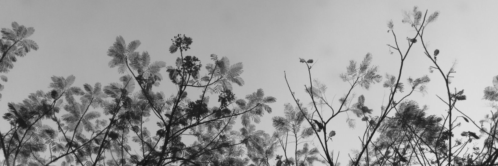 wecool713's profile banner image