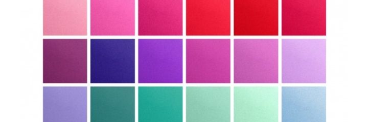 joliemusette's profile banner image