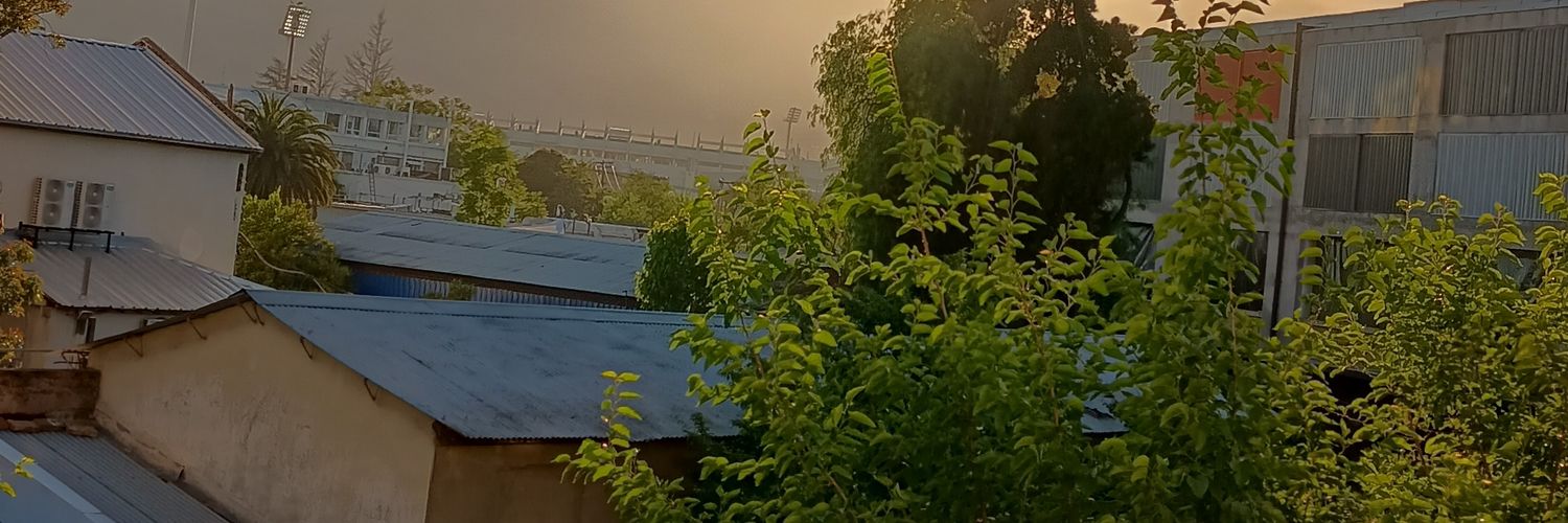 Roxana Cardona banner