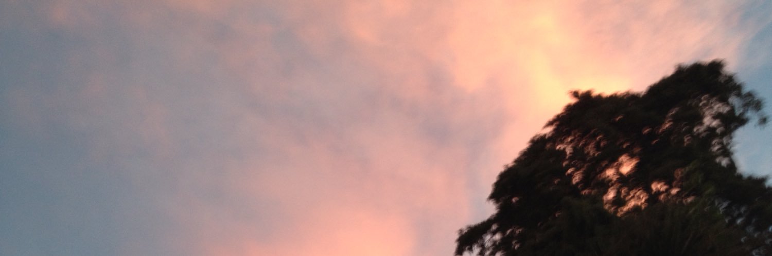 MeliHirsch's profile banner image