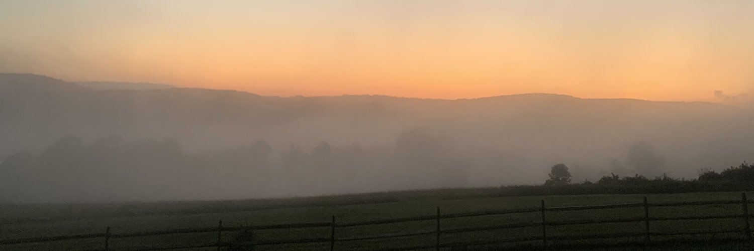 sb_'s banner