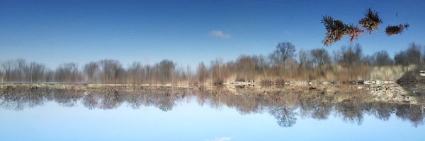 angira_roy Profile Banner