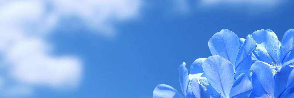 erikvoltaire's profile banner image