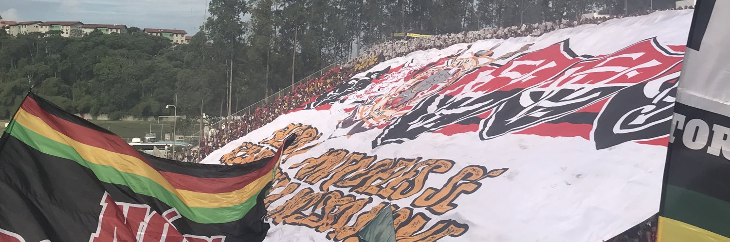 tamara sem acento banner