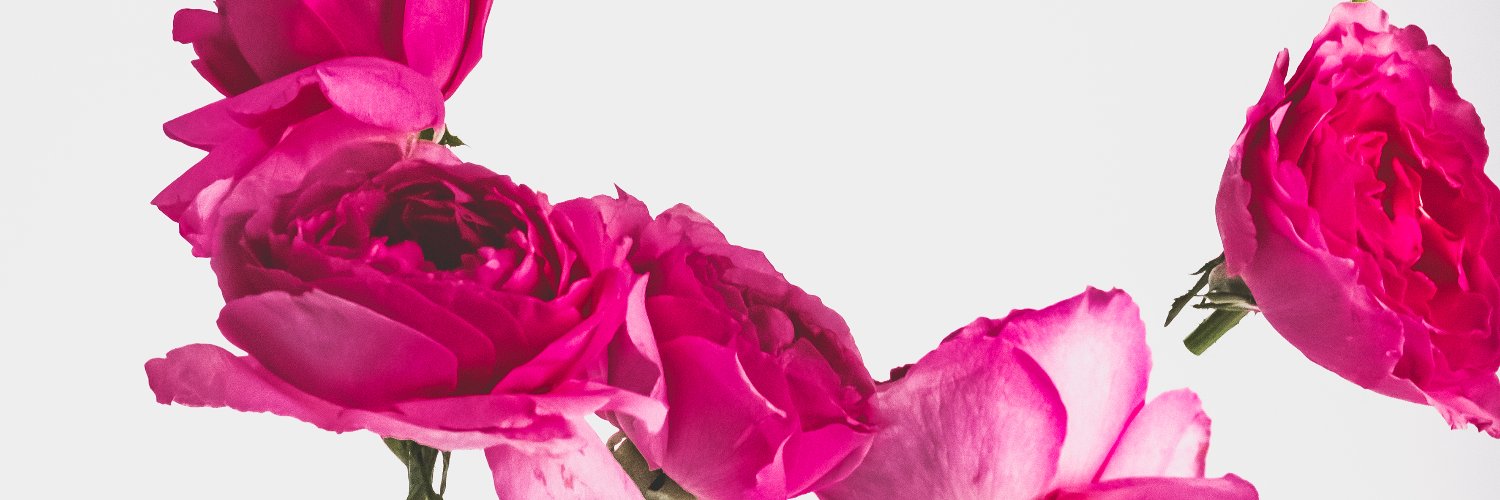 kushimaetsuko's profile banner image
