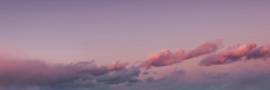 Sarah🎀 banner