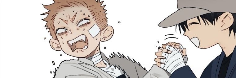 doo🐈 banner
