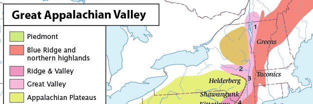 SweetSplotchyCat banner