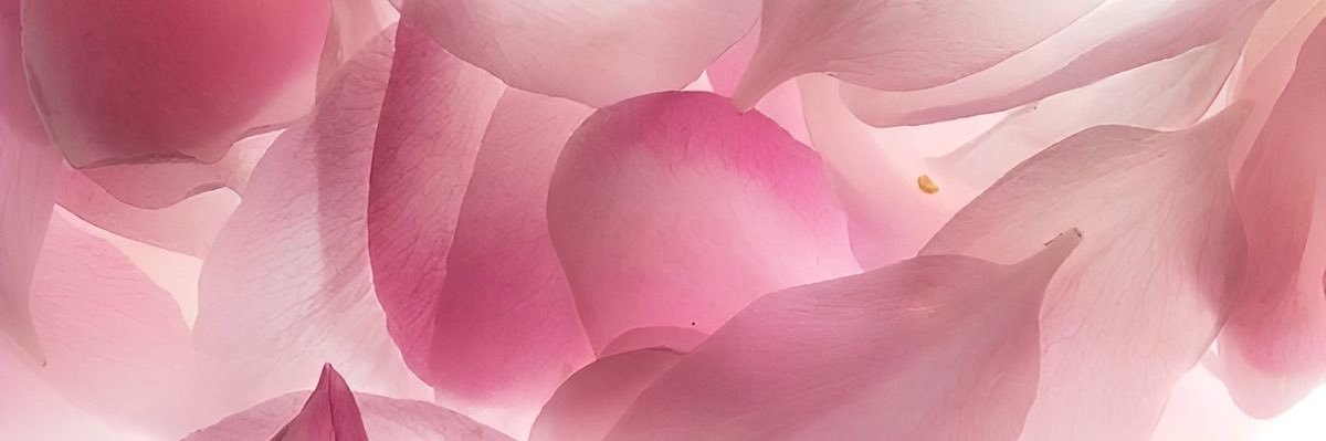 Pauuuuuuu🍩's banner