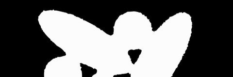 Shimmi banner