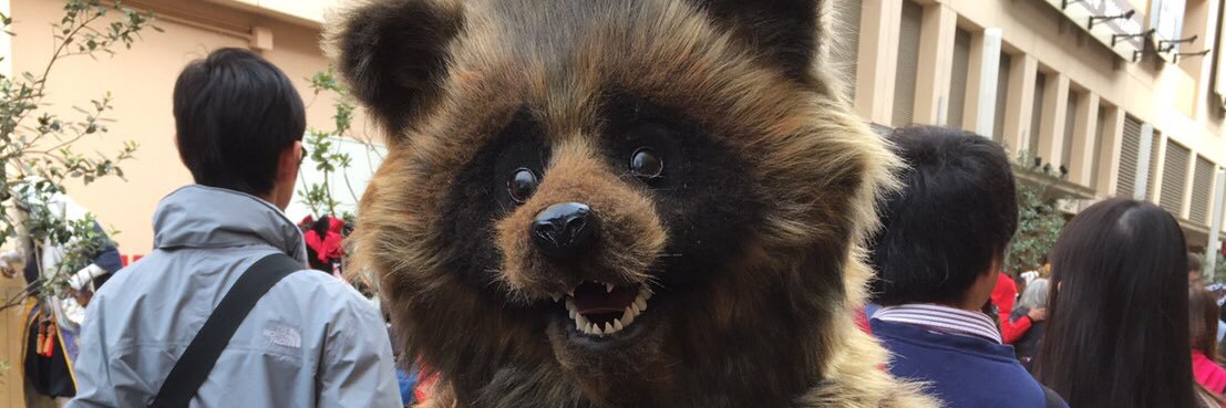 toytroi's profile banner image