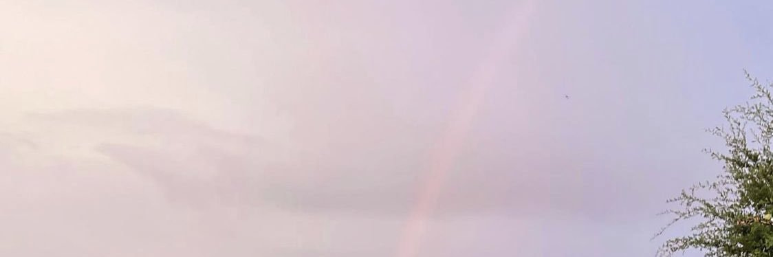 sellaaaay's profile banner image