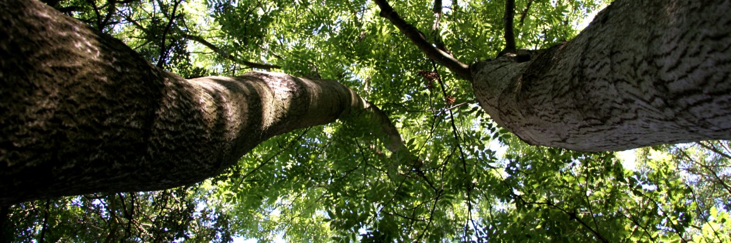 ethicalfutures's profile banner image