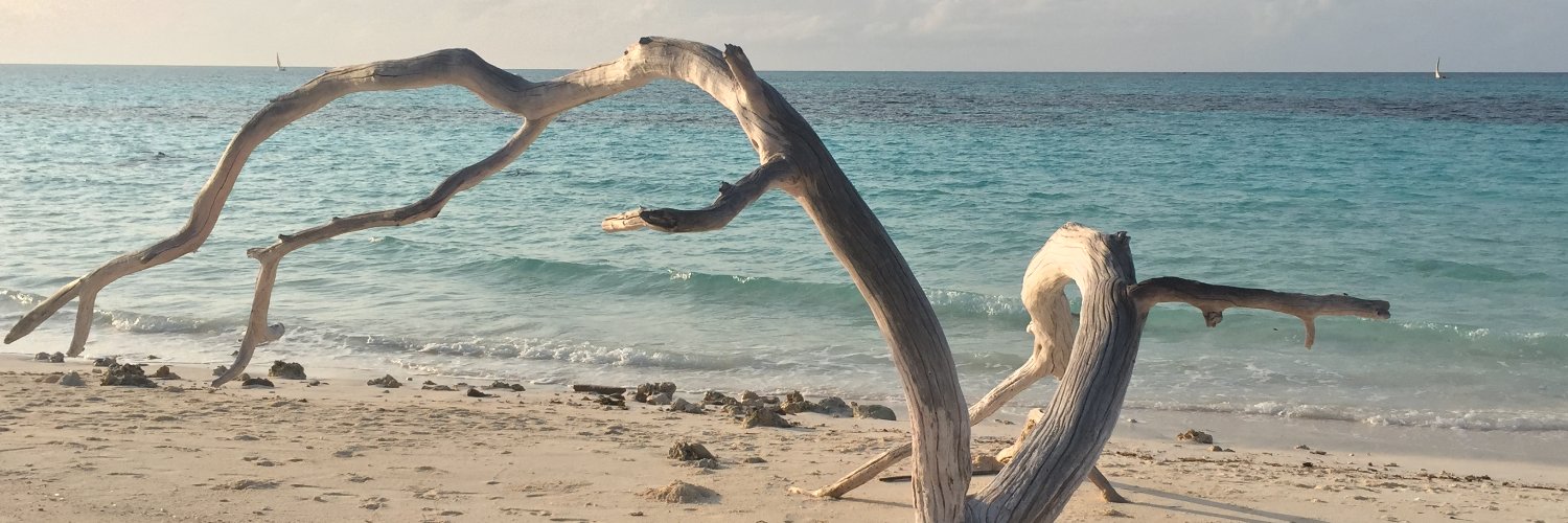 EcoMearns's profile banner image