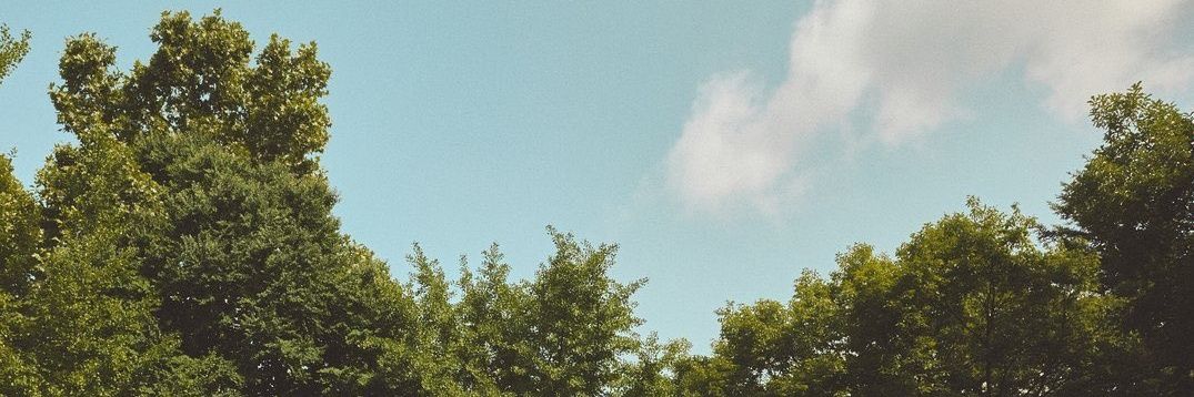SEEUN banner