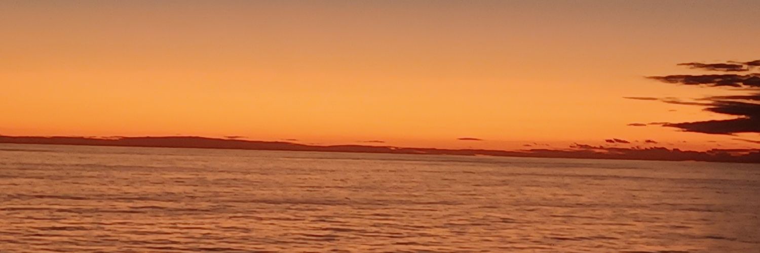 Jo Morgan banner