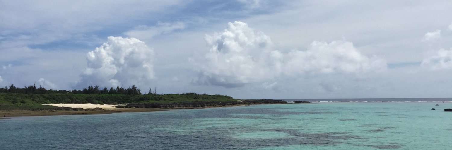 はりねずみ banner