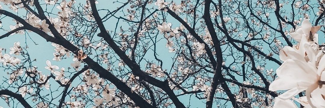 xiao9985's profile banner image