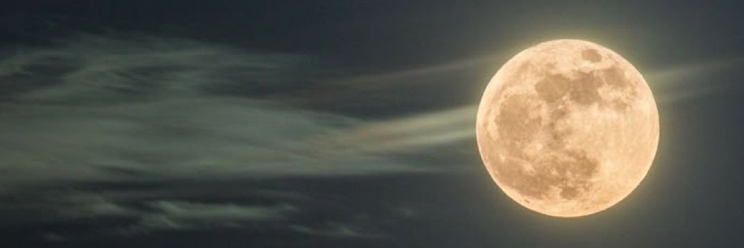 oc_lgr's profile banner image